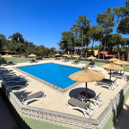 Domaine Des Mimosas Apartment Argelès-sur-Mer Exterior foto