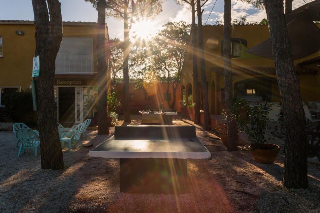 Domaine Des Mimosas Apartment Argelès-sur-Mer Exterior foto