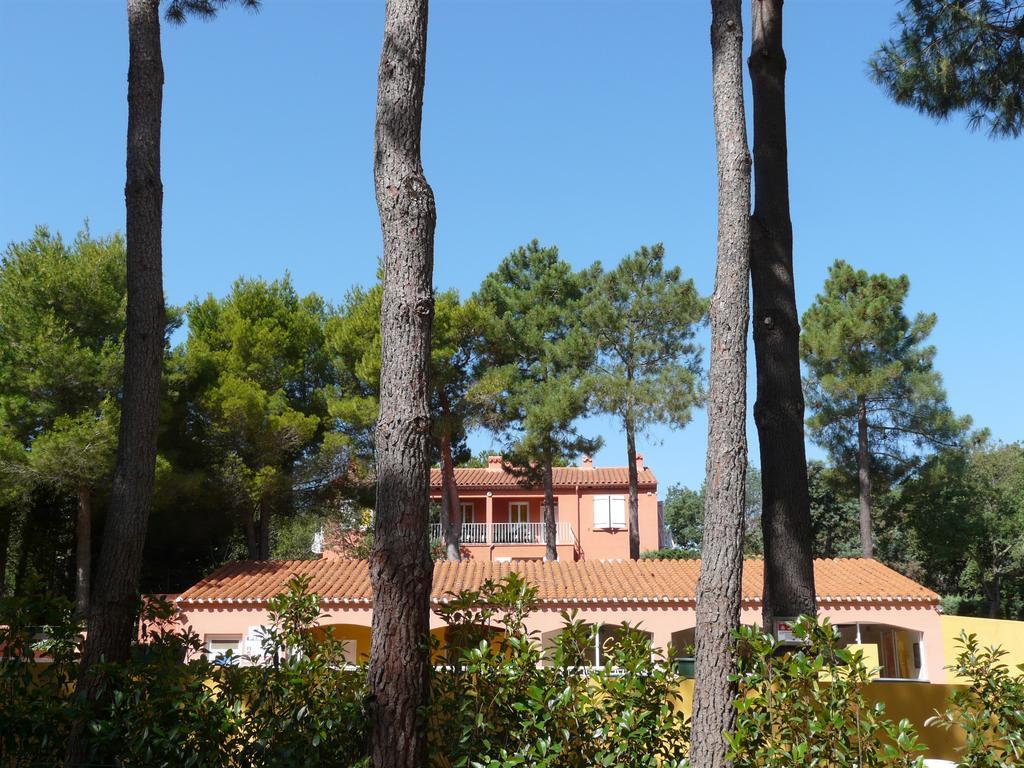 Domaine Des Mimosas Apartment Argelès-sur-Mer Cameră foto